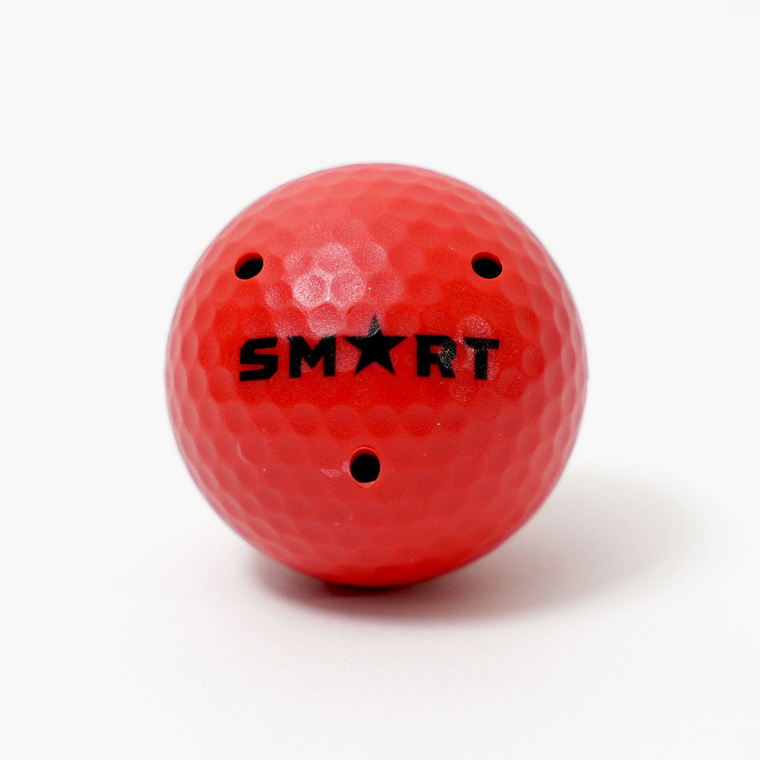 SMART Ice Hockey Training Ball 8oz